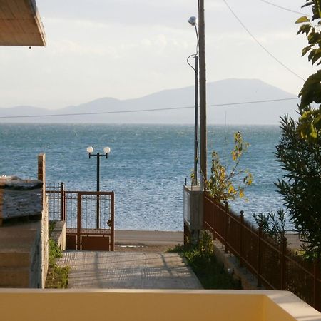 Artemis - Marina Apartments Evia Ngoại thất bức ảnh